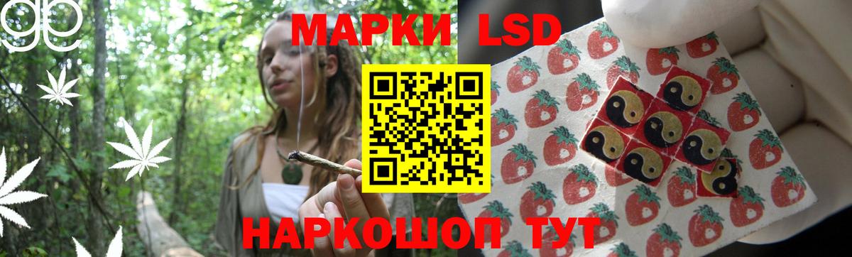 Камень-на-Оби  Лсд 25 экстази ecstasy  Вход с VPN  LSD-25 экстази ecstasy 