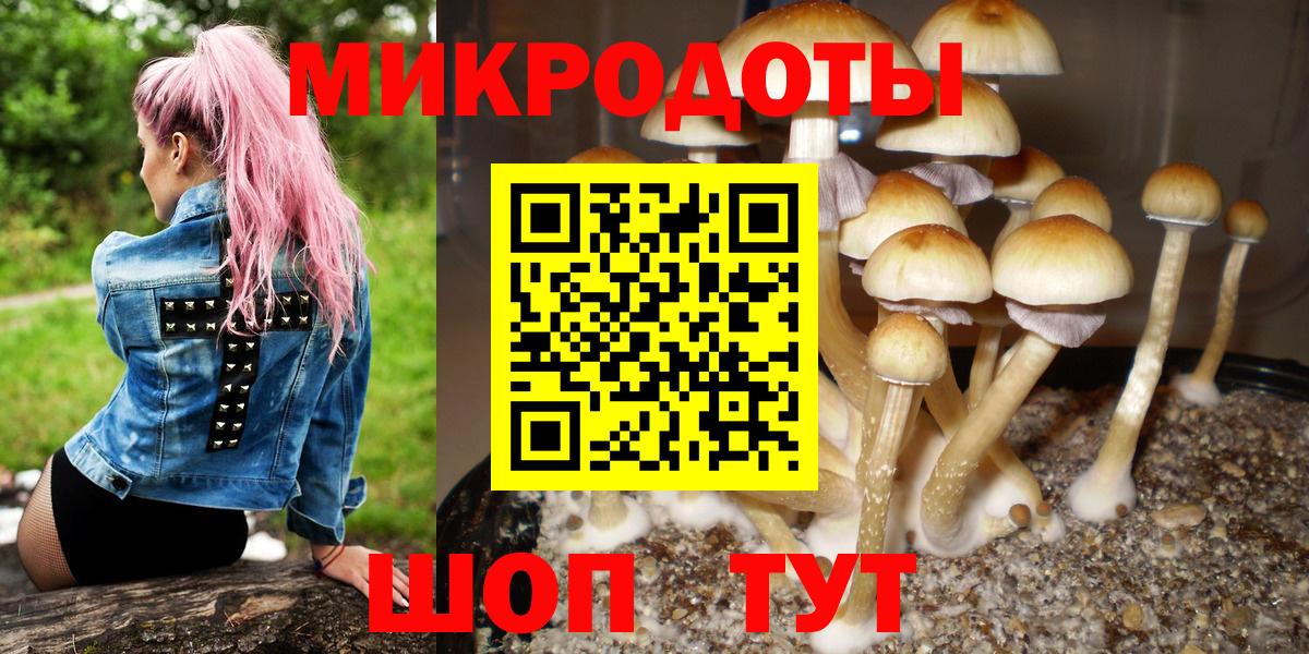 Галлюциногенные грибы мицелий Камень-на-Оби